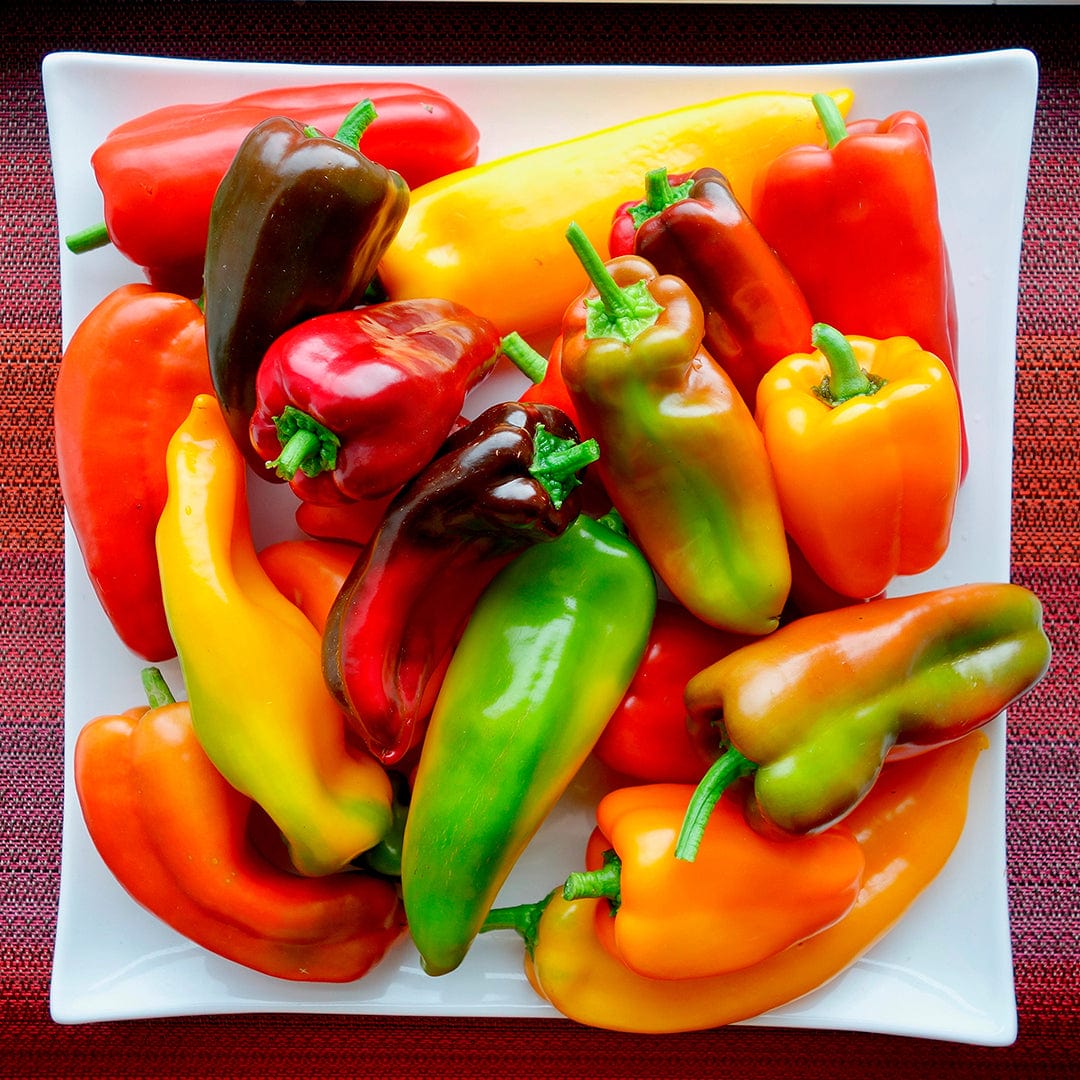 Organic Pepper Seeds — 'Sweet Red Marconi' - Image 6