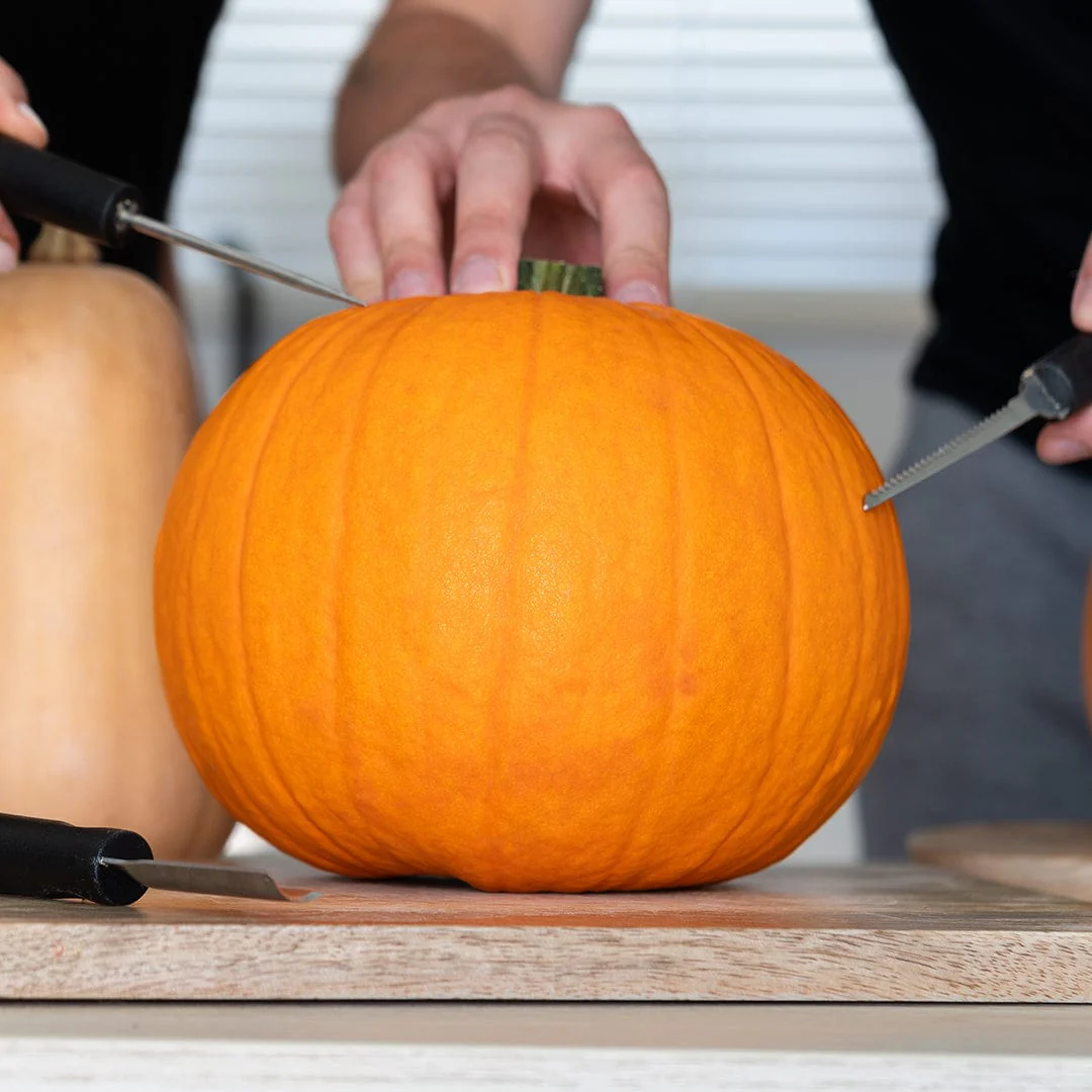 Organic Pumpkin Seeds — 'Jack O' Lantern' - Image 6