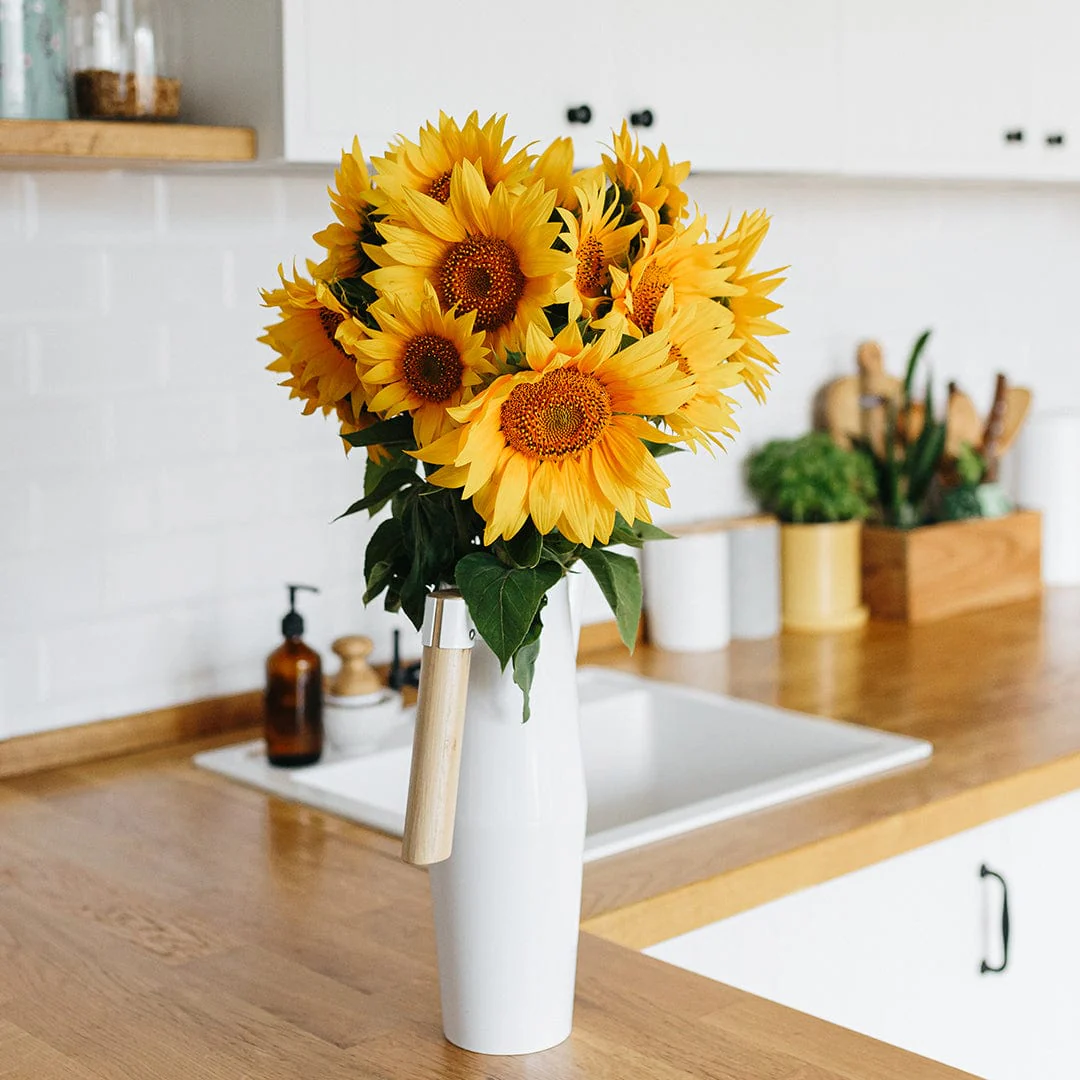 Organic Sunflower Seeds — 'Mammoth Grey Stripe' - Image 7
