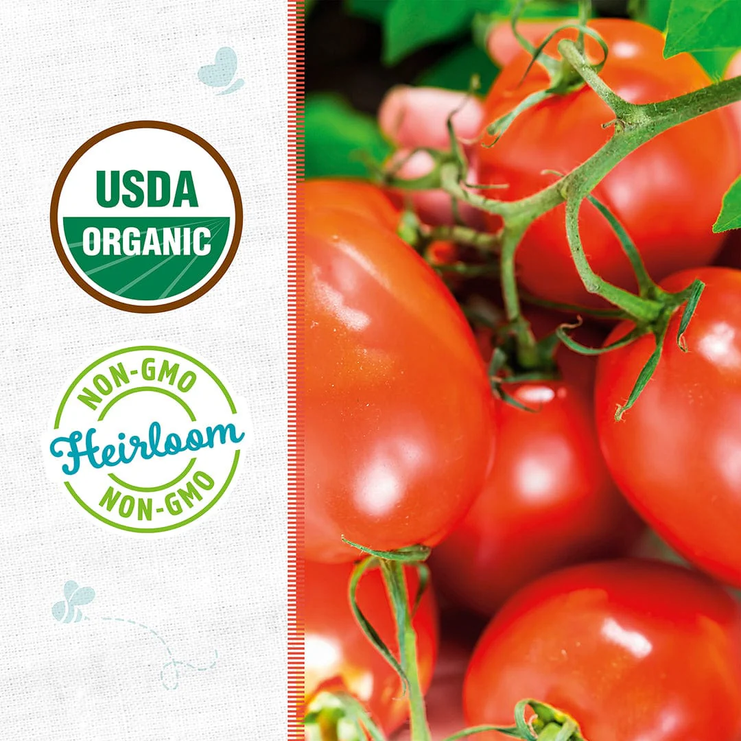 Organic Tomato Seeds — 'Amish Paste' - Image 2