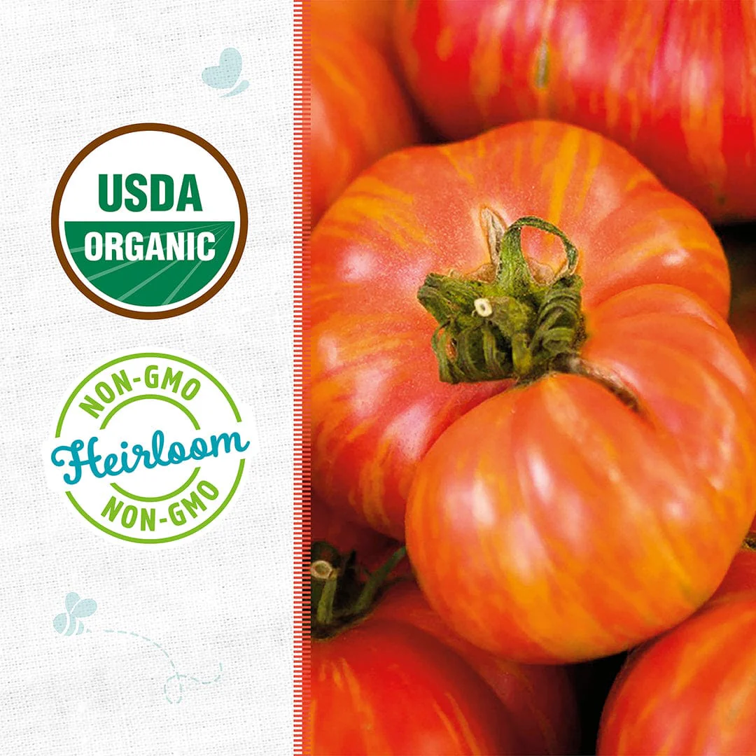 Organic Tomato Seeds — 'Big Rainbow' - Image 2